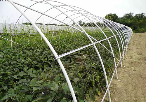 The Agricultural Revolution: Why FRP is Replacing Steel and Wood in Modern Greenhouses